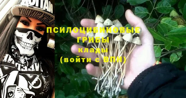 ПСИЛОЦИБИНОВЫЕ ГРИБЫ Новокубанск