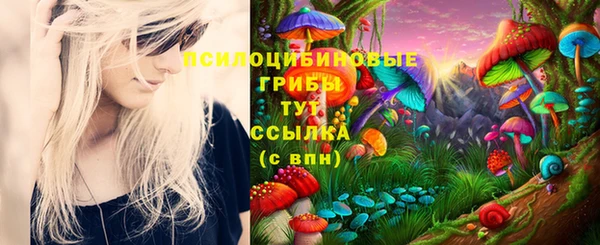 не бодяженный Новозыбков