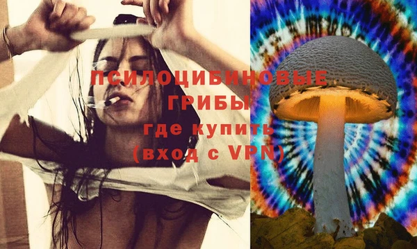 ГАЛЛЮЦИНОГЕННЫЕ ГРИБЫ Нефтекумск