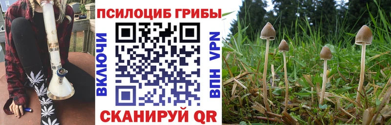 Псилоцибиновые грибы прущие грибы  Лакинск 
